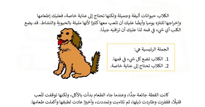 أين الفكرة الرئيسية أوراق عربية